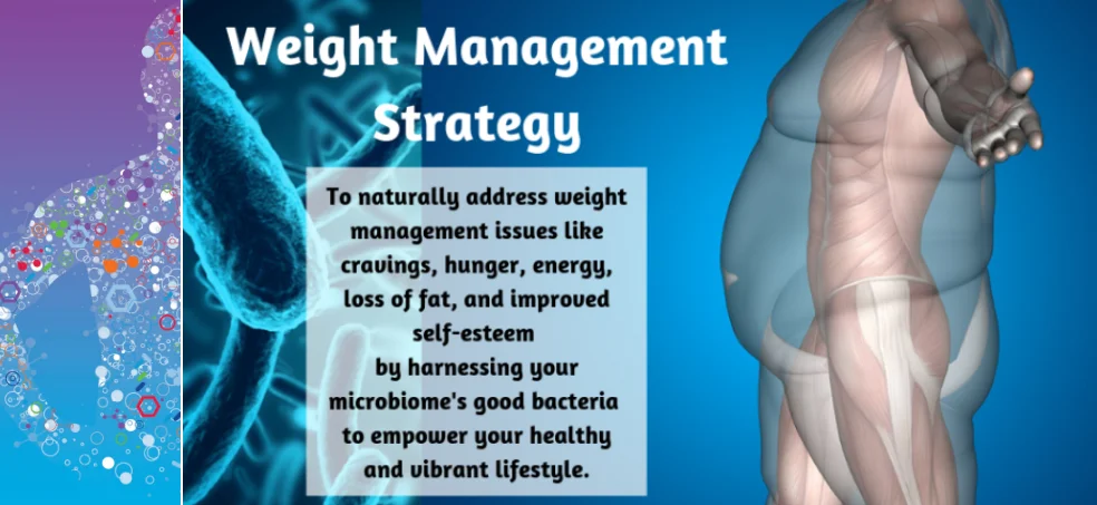 https://d2saw6je89goi1.cloudfront.net/uploads/digital_asset/file/524071/Weight_Loss_Marketing_Strategy.pdf
